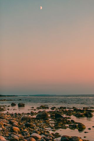 Väskinde Salthamn, Visby - Foto 5