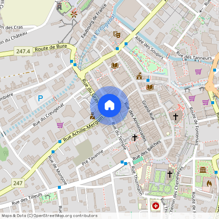 Rue du 23 Juin 19, 2900 Porrentruy