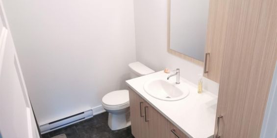4 1/2 À LOUER - BERTHIERVILLE - APPARTEMENT À LOUER - Photo 3