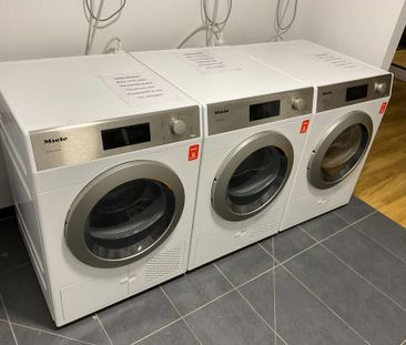 Wohnung auf Zeit: Möbliertes Single-Apartment inkl. W-LAN - Photo 1