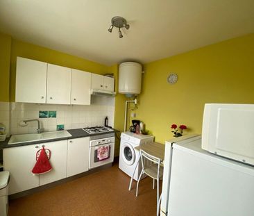 Location Appartement 1 pièce 30m² ROMANS SUR ISERE 26100 - Photo 2