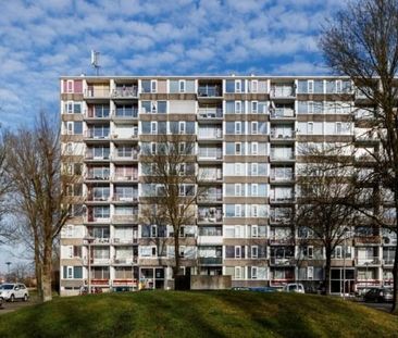 Yokohamadreef 0ong, 3564 XH Utrecht, Nederland - Photo 1