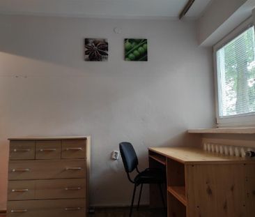LSM, Lublin - Zdjęcie 6