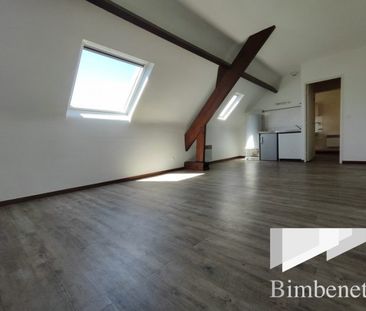 Appartement à louer, 1 pièce - Olivet 45160 - Photo 3