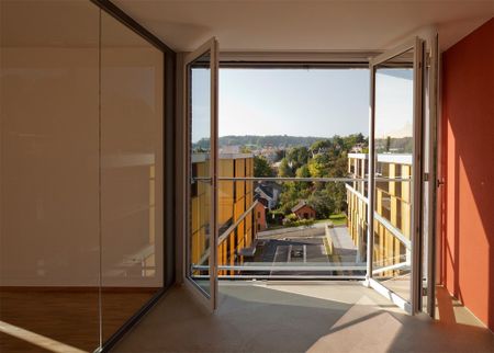 MIETEN OHNE KAUTION - Urbanes Leben im Haldengutareal - Foto 5