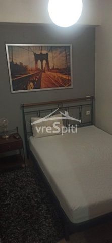 Studio/Γκαρσονιέρα για ενοικίαση Λακκώματα - Κιάφα (Ιωάννινα) - Φωτογραφία 4