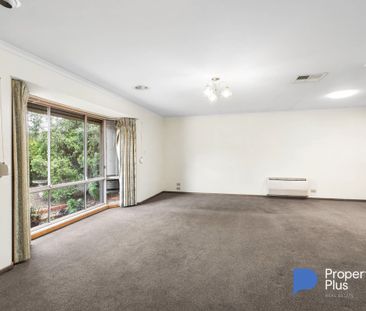 "Large and in charge" - Photo 2