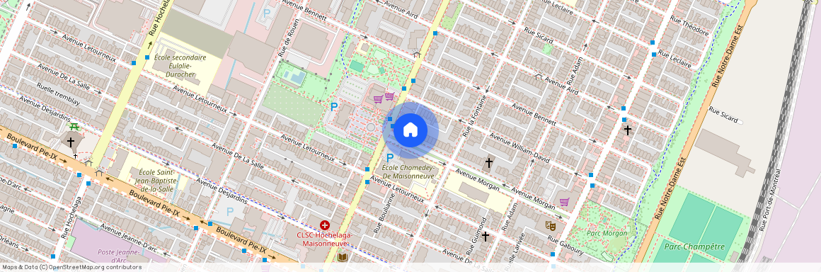 1805 Av Morgan Montréal, Mercier-Hochelaga-Maisonneuve, Mercier-Hochelaga-Maisonneuve, Ile de Montréal, H1V 2R1