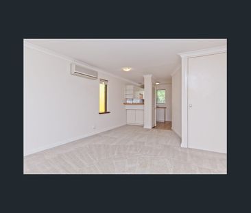 Prime Location! - Photo 5