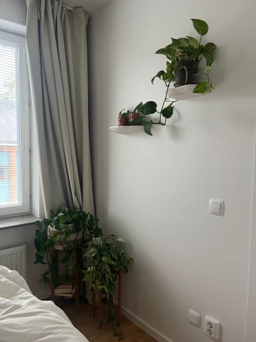 Brädgårdsvägen, Ekerö - Foto 5