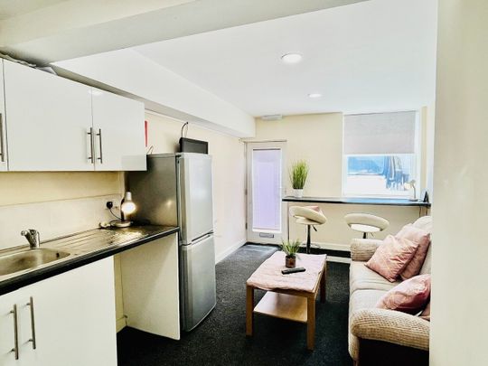 2 Bed Flat, Glossop Road, S10 - Photo 1