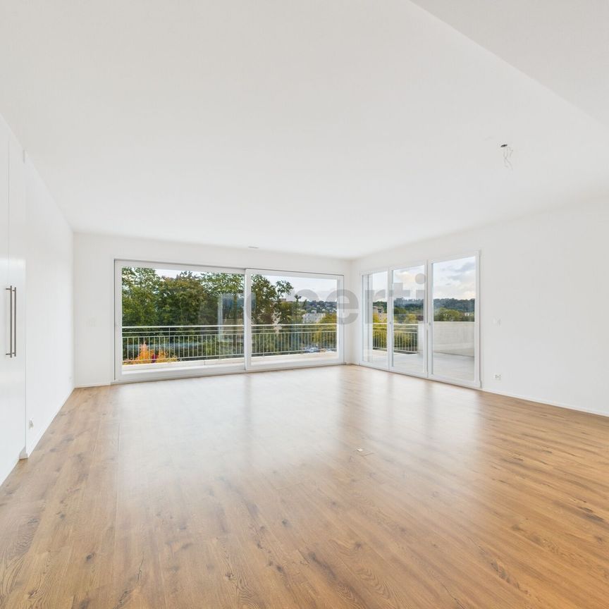 Attique d'exception, 3.5p, 91m², dernier étage avec terrasse de 95m² + vue dégagée et grand garage box - Photo 1