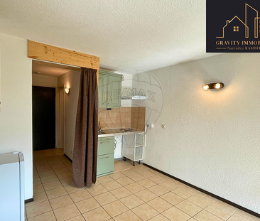 Location Appartement 1 pièce 25m² ONNION 74490 - Photo 3