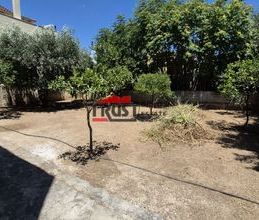 Μονοκατοικία για ενοικίαση - Αχαρνές - Photo 5