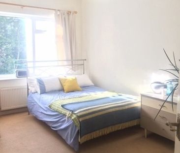 Room in a Shared Flat, St Michaels Place, BN1 - Photo 3