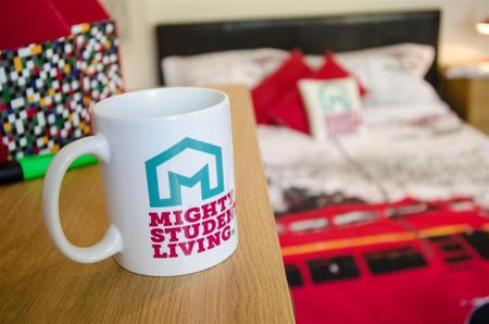 5 bedroom private hall to rent - Photo 3