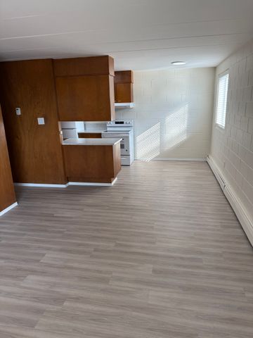 1 BDRM/1 BATH - 2315 7TH ST E - Available NOV 1 - Photo 3