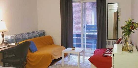 Grand 3 1/2 à Louer – Secteur UdeM - Photo 3