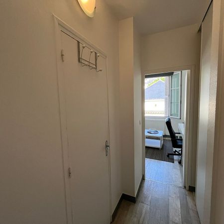 "LE FORMIDABLE" - Location Appartement tours : 14.64 m2 - Photo 4