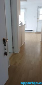 Danville – Appartement 3 1/2 à louer – Chauffé – Éclairé – Déneigé + Wi-Fi - Photo 3