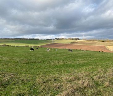 3 bedroom cottage to rent - Photo 6