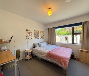 2/5 Ashfield Place, Ilam - Photo 5