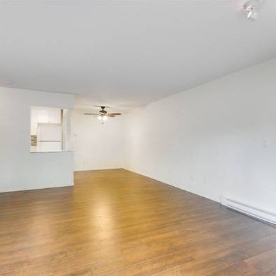 1Bed 1Bath - 730ft2 - Photo 1