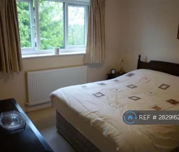 2 bedroom semi-detached house to rent - Photo 2