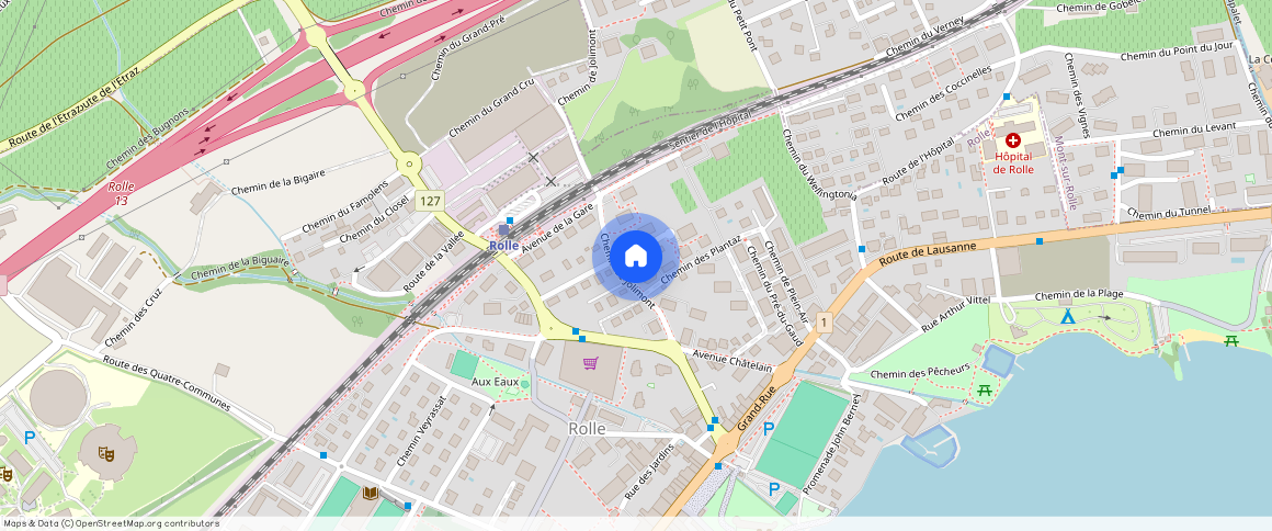 Rue de Rive 44, 1260 Nyon