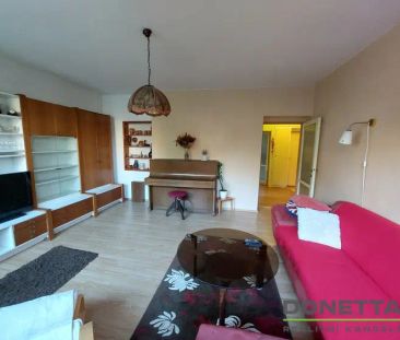 Pronájem zařízeného bytu 2+1 s balkónem – Malšovice, HK - Photo 5
