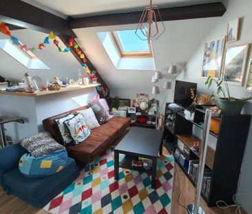 Colocation chaleureuse - Photo 1