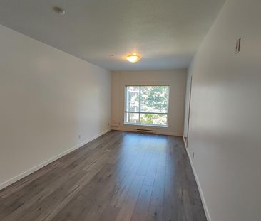 Quattro 1. Spacious Two Bedroom with Parking and Storage - Photo 3