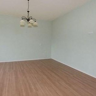 Wezelrade, 2544 Den Haag, Nederland - Foto 4