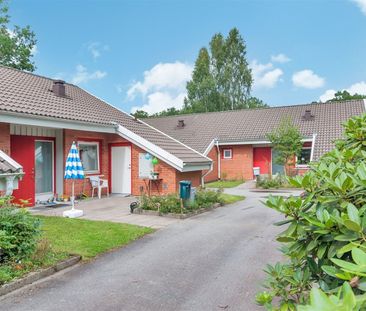 Blå vägen 245 - Foto 1