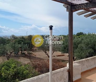 Μονοκατοικία 230 τ.μ. προς ενοικίαση - Photo 5