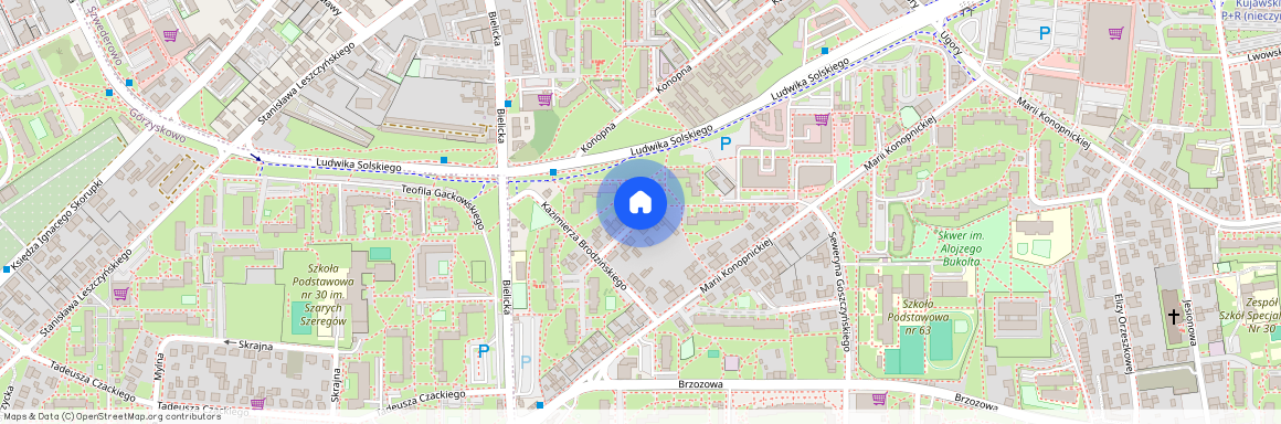 ul. Bohdana Zaleskiego, Szwederowo, Bydgoszcz, kujawsko-pomorskie