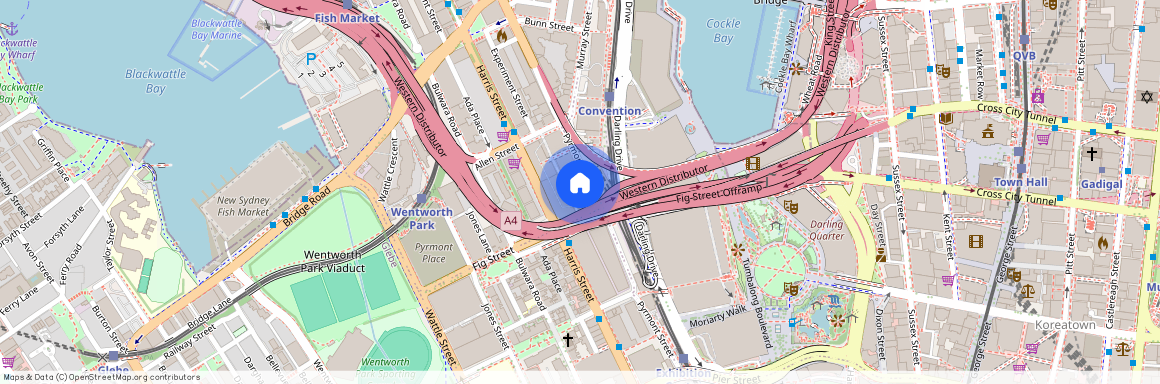 1029/243 Pyrmont Street, 2009, Pyrmont