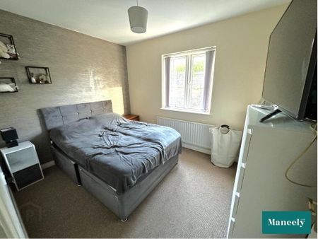 3 Coolhill Mews, Dungannon, BT71 6UG - Photo 5