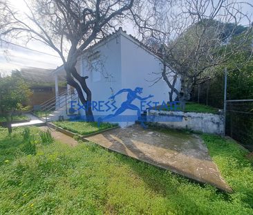 Ενοικίαση κατοικίας, 70 τ.μ., Ραφήνα, 800 € - Photo 1