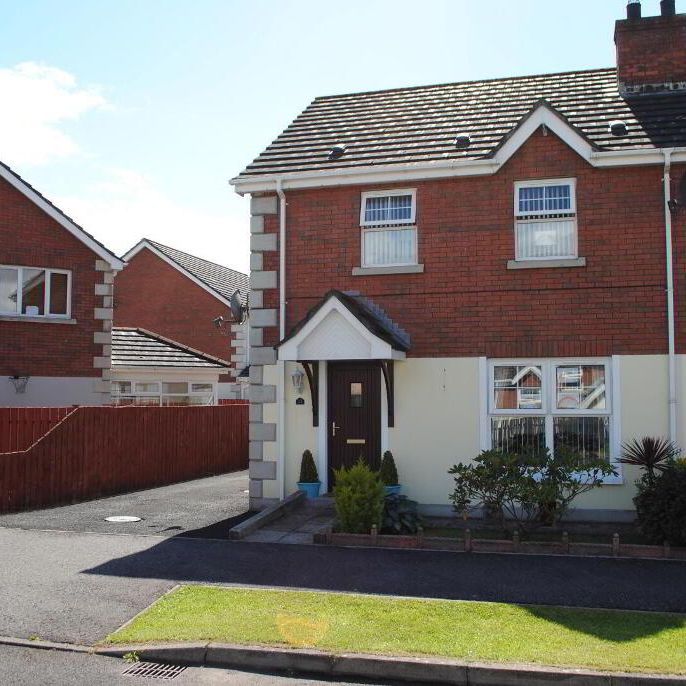 Knockanbann, Limavady, BT49 0UL - Photo 2