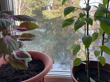 Hertig Carls Väg, Södertälje - Foto 3