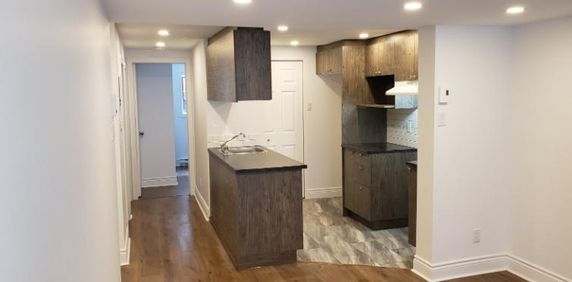 4 1/2 - Montréal (Le Plateau Mont-Royal) - 1 595 $/mois - Photo 2
