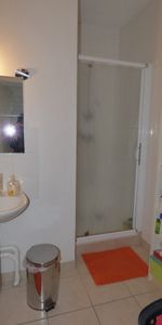 Location Appartement 2 pièces 49m² ANNONAY 07100 - Photo 4
