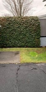 Logement à louer, Granby 3 et demi - Photo 3