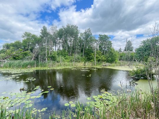 For Lease - 72 Snively Street, Richmond Hill, Ontario - Photo 1