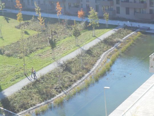 Q5 am PARK sonnige 2ZI West/Balkon - Photo 1