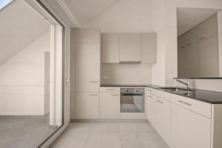 Letzte Attika-Wohnung zu vermieten! - Photo 4