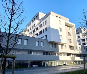 À saisir ! Superbe logement au coeur de Sierre ! - Photo 4