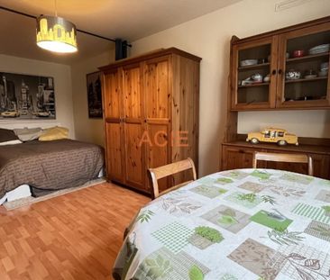 Location Appartement 1 pièce 31m² LOUVRES 95380 - Photo 2