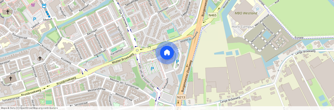 Kruisbroek, 2671 SB, Tiendweg, Naaldwijk